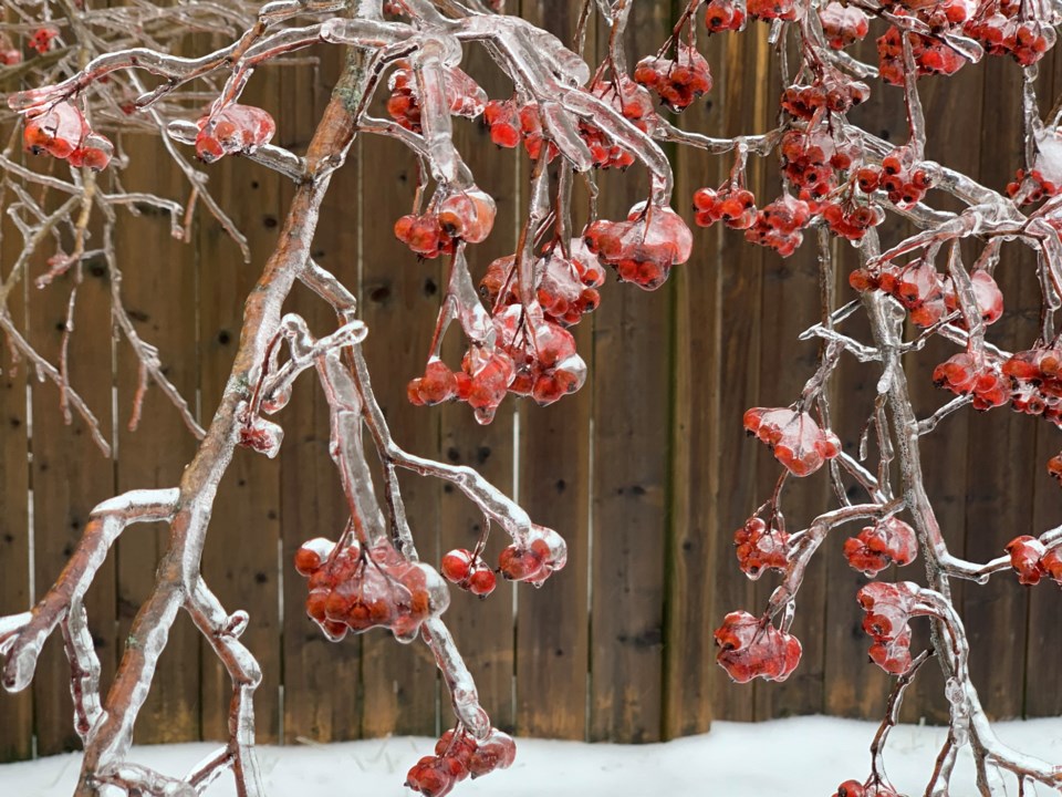 021020 - freezing rain 