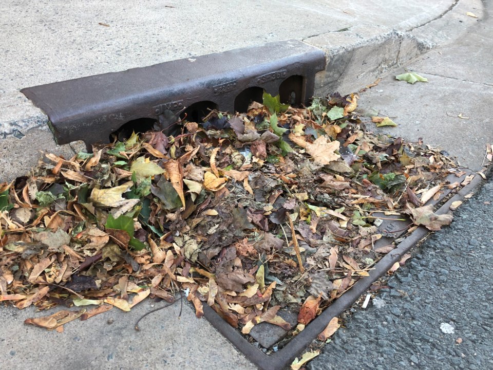 101718-storm drain-sewer-IMG_8490