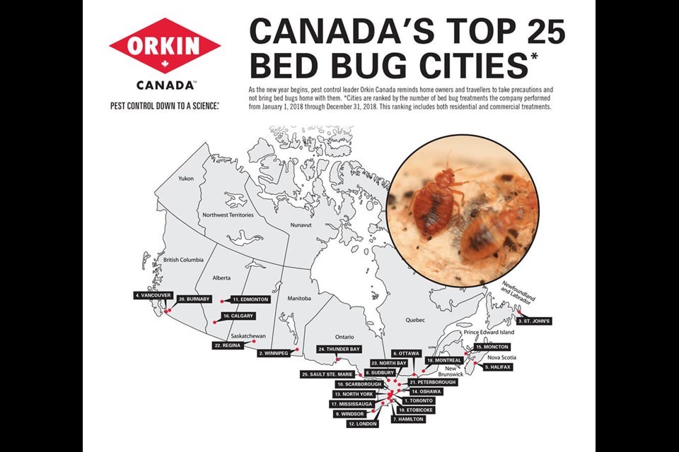 top-bed-bug-cities-2018-1