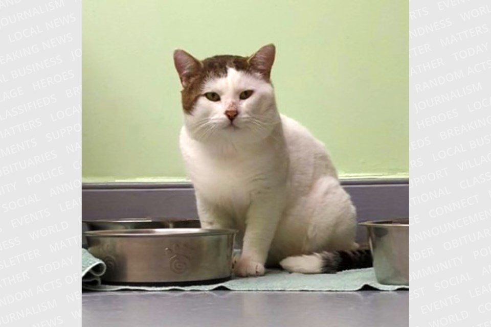 20231119petoftheweekfred