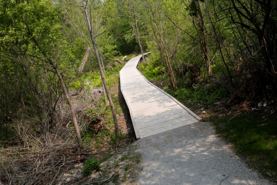 The Cedarvale Park trailhead to Hungry Hollow's news section.