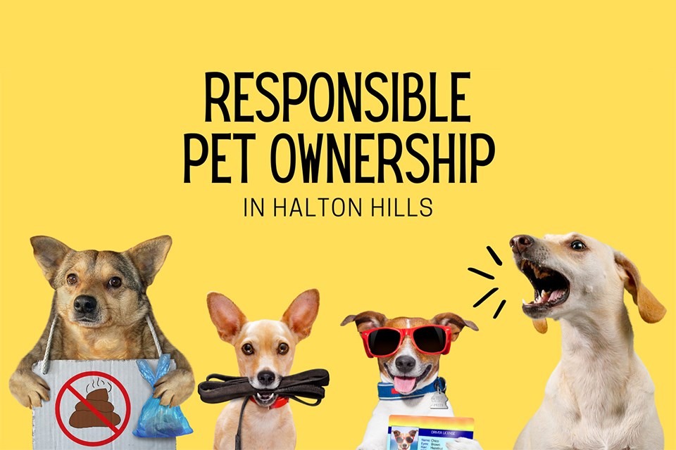 pet-ownership-in-halton-hills