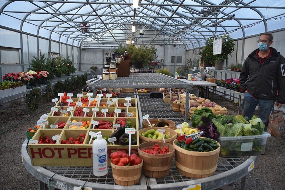 Rob Radcliffe is shown inside the greenhouse that houses Lakeview Gardens' market this fall. Miriam King for InnisfilToday