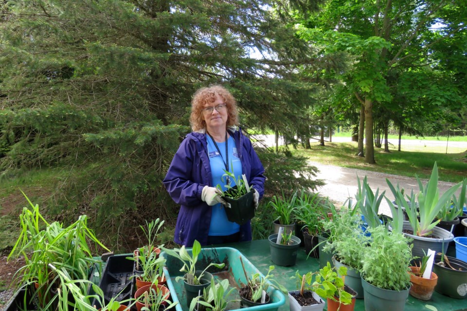 Mona Rea-Malloy, president of the Innisfil Garden Club, welcomed people to the society's annual plant at the Innisfil South Arboretum in Gilford on Saturday. She invites people with any interest in gardening to join the club. 