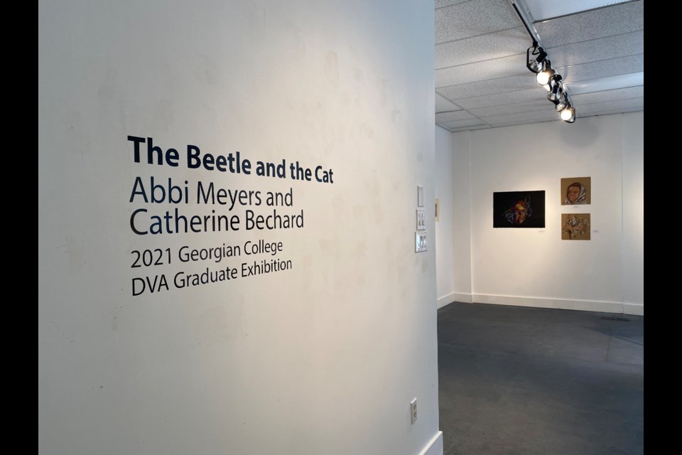 The Beetle and the Cat exhibit features work from Abbi Meyers and Catherine Bechard. 
