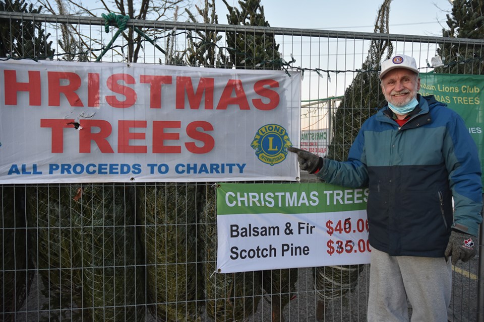John Anderson, secretary of the Thornton Lions Club, with Christmas trees. Miriam King for Innisfil Today