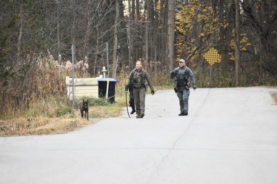 Police search for a suspect in Innisfil following a pursuit Saturday afternoon.