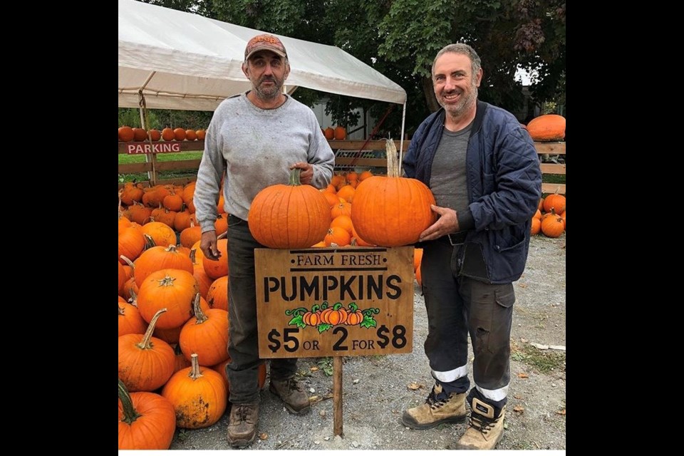 Tony Spina (left and his brother Emilio Spina run the family farm off the 10th sideroad in Innisfil and sell produce from a roadside shop. /photo submitted. 