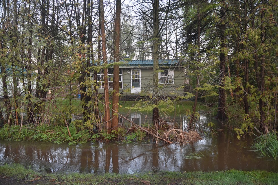 High water surrounds an old cottage on Park Road in Innisfil, following a sudden downpour. Miriam King/Innisfil Today 