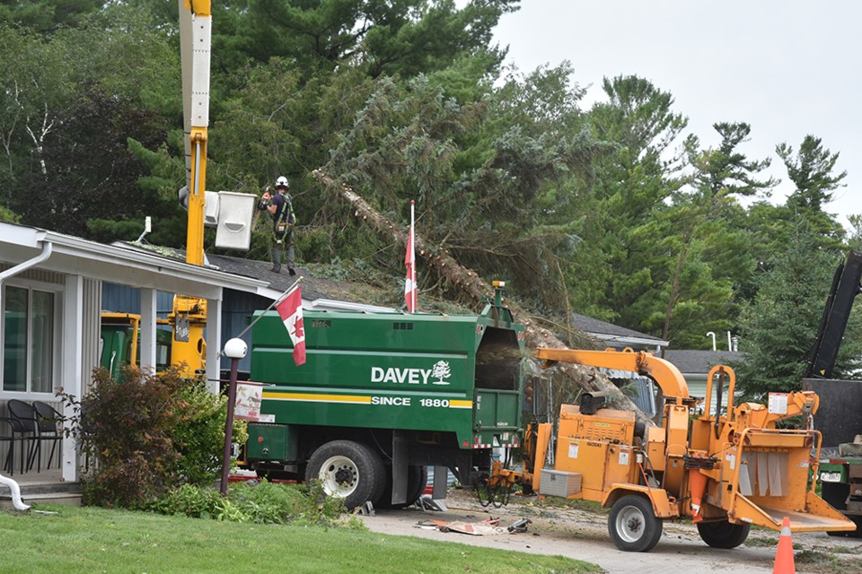 Davey tree service prepares to remove part of a huge Blue Spruce from the roof of a home on Riverview Circle in Sandycove.