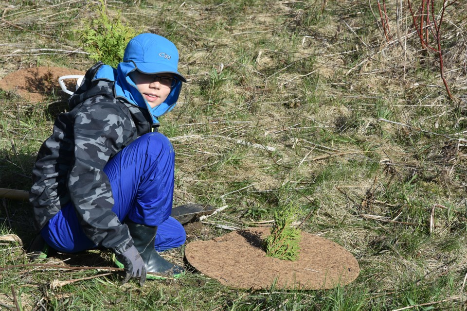 Young volunteer participates in a South Simcoe Streams Network tree-planting event in Alcona,, Innisfil. 