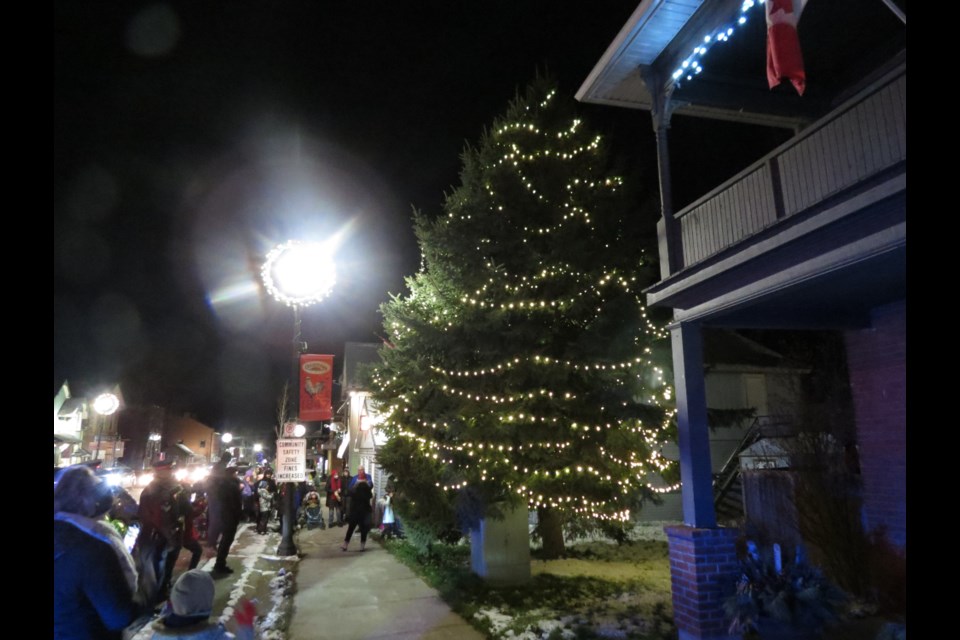 Crowds gathered around the Christmas tree and across the street to watch as the village Christmas Tree was illuminated