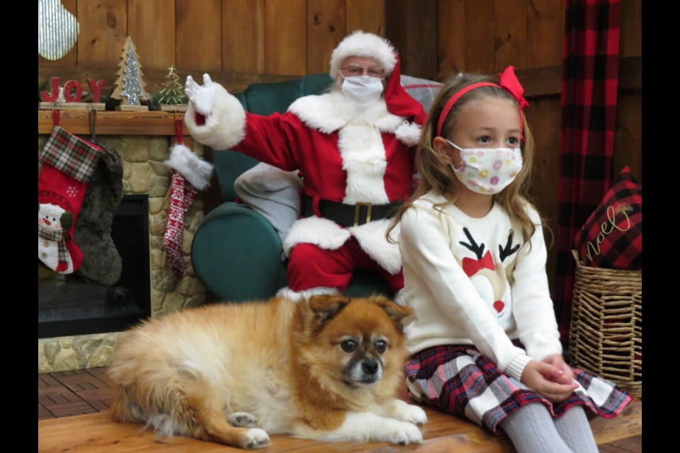 Pet photos with Santa at Tanger Outlet Mall, Cookstown. 