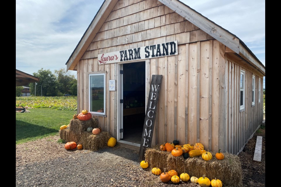 Laura’s Farm Stand on Highway 27 in Cookstown