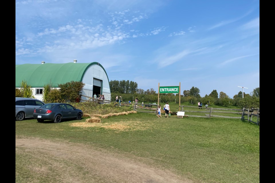 Apple picking at Avalon Orchards in Innisfil