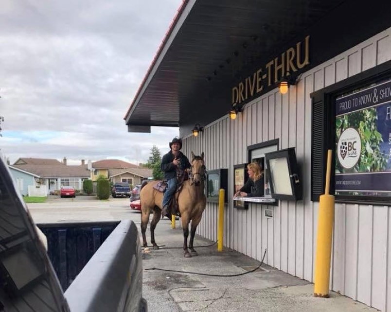 man-rides-horse-through-liquor-store-drive-thru