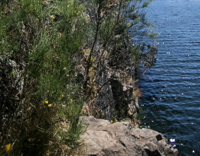 a3-0522-cliffs-clr-jpg