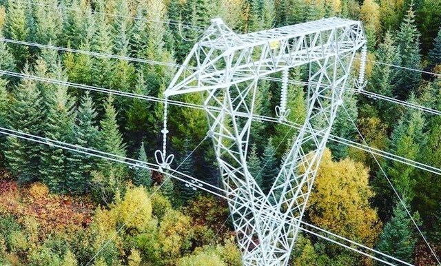 Man shocked, falls 21 metres after climbing BC Hydro tower - Prince