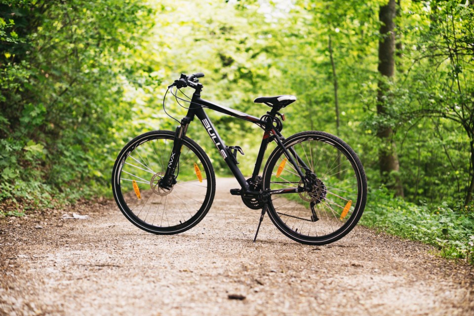 bicycle-bike-forest-100582
