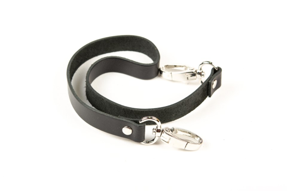 dog leash