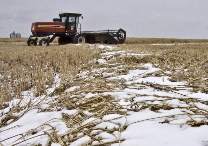 farmer-snow