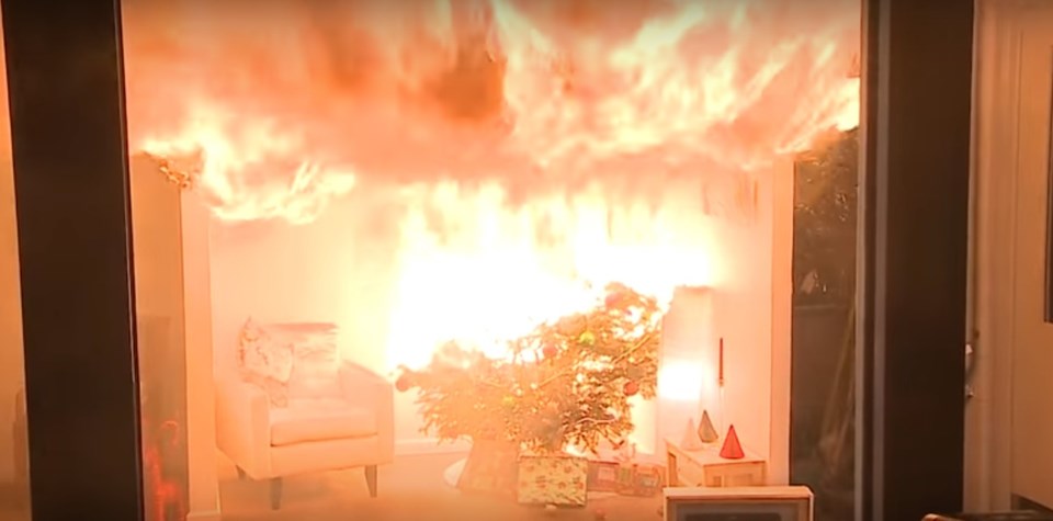 fire-house-tree