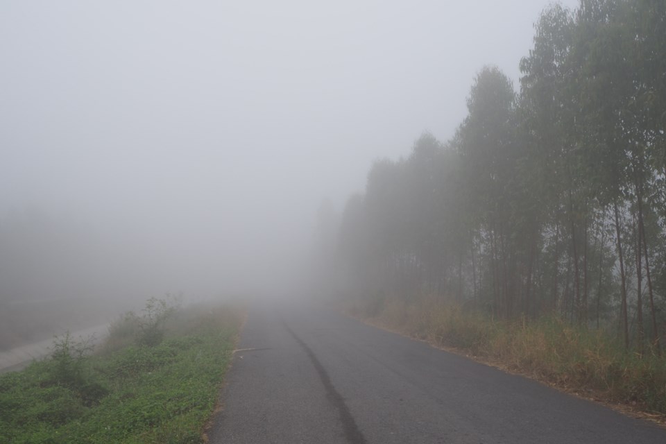 foggy road