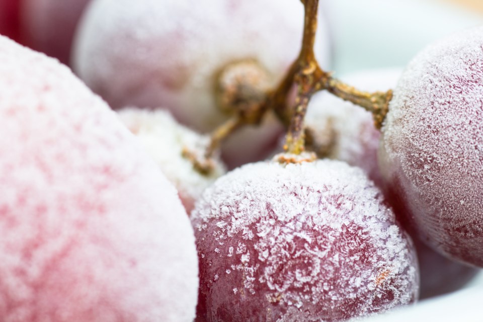 frozen grapes