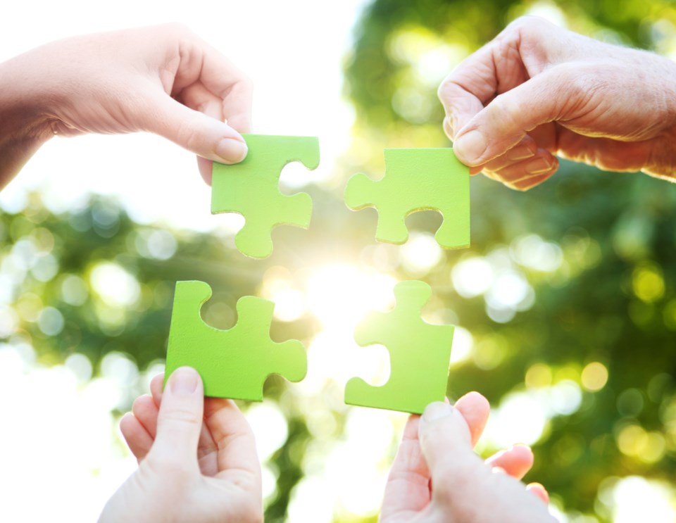 green puzzle pieces