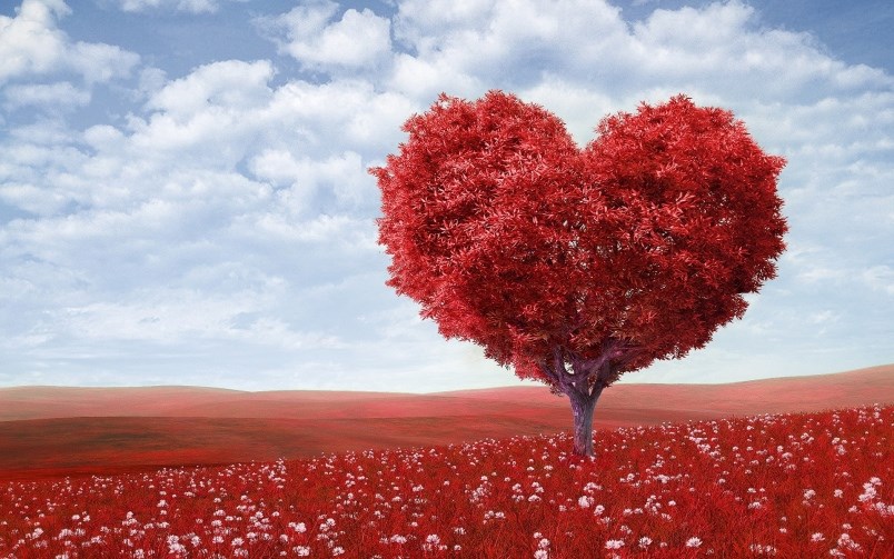 love-tree-red