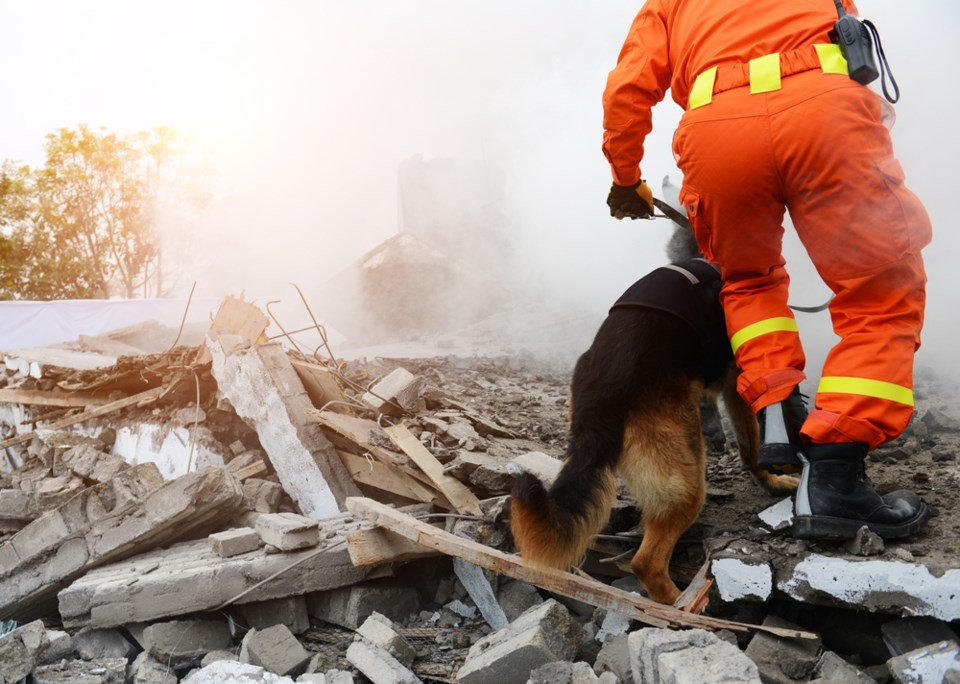 rescue-dog-personnel