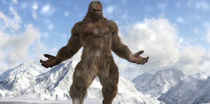 Sasquatch