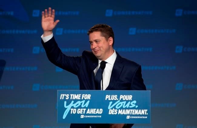 scheer