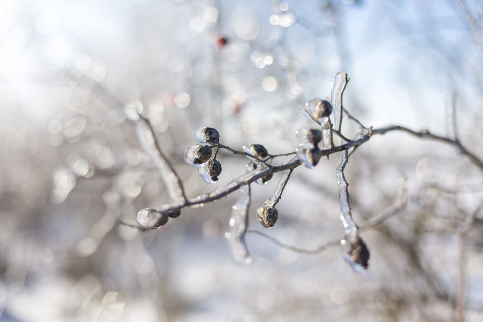 shutterstock_741792931