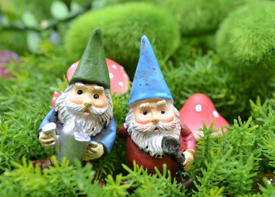 shutterstock_1063154966