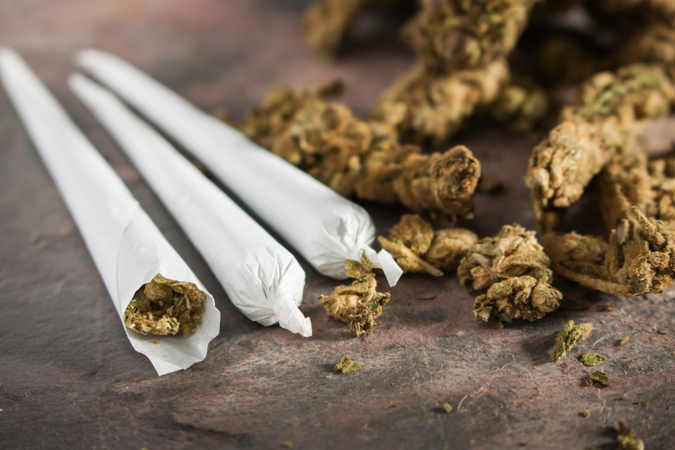 shutterstock_cannabis