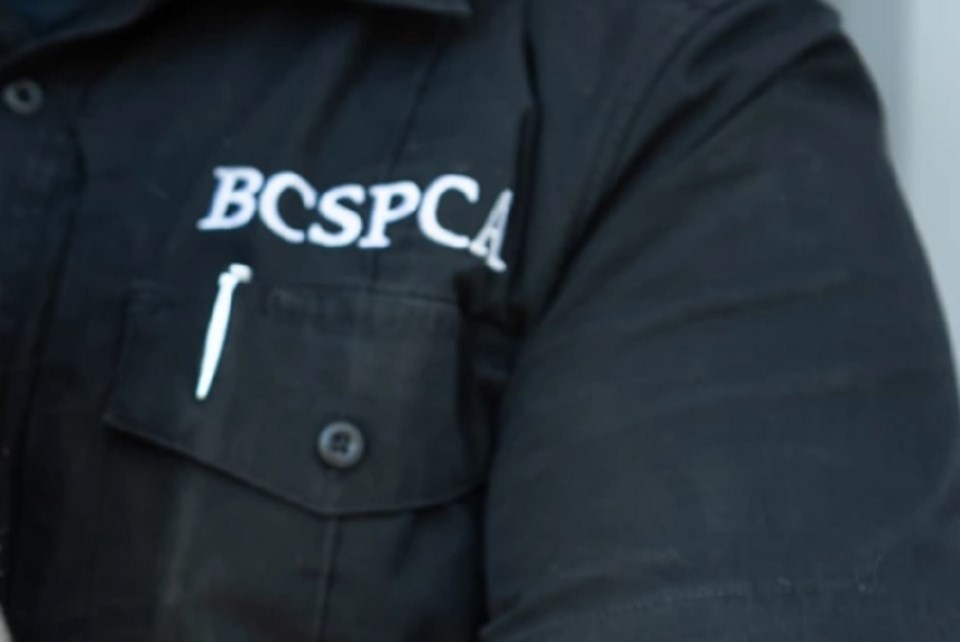SPCA