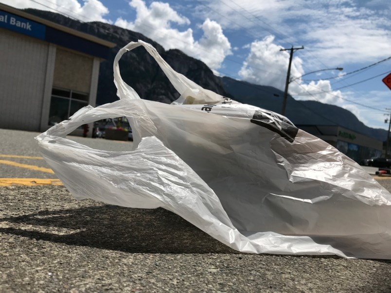 squamish bag