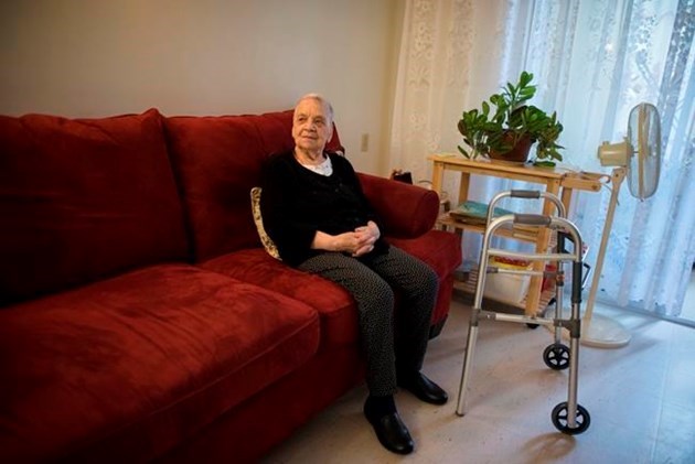 tij203543589