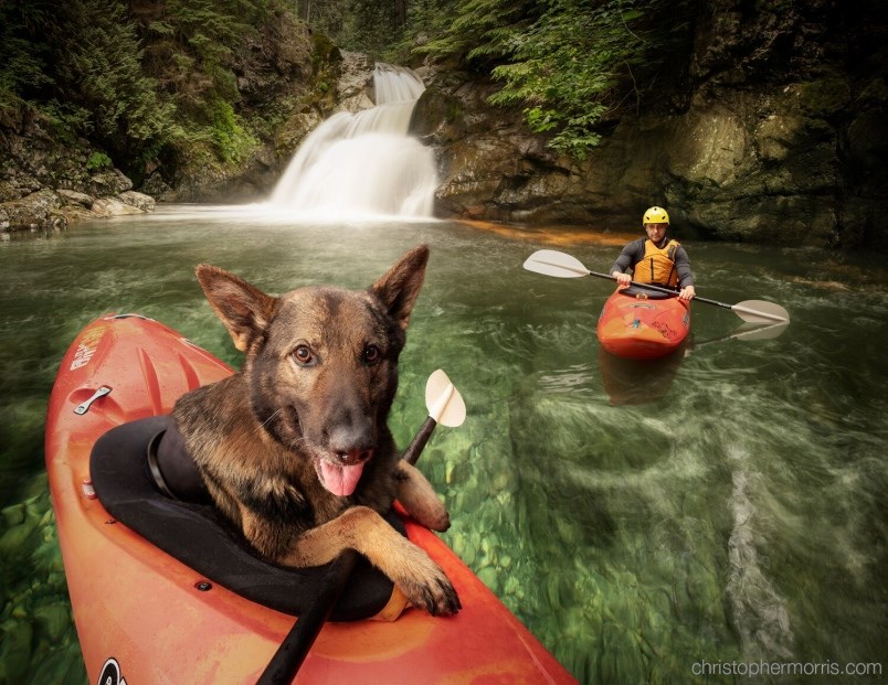 Proceeds from the 2020 Vancouver Police Department dog calendar will benefit B.C. Cancer Foundation and the B.C. Children’s Hospital Foundation. 
(via Vancouver Police Department)