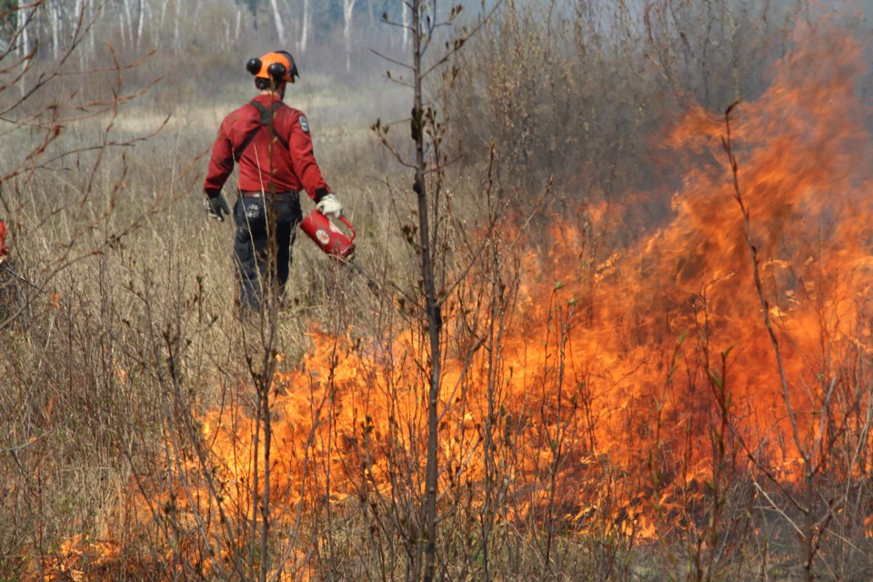 Prescribed Fire-two