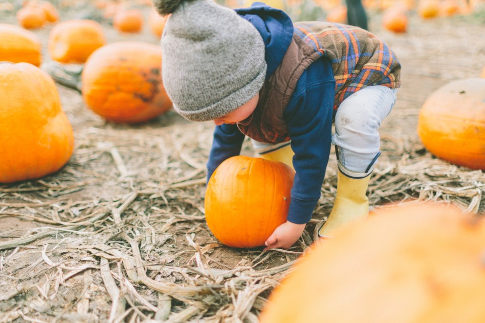 PumpkinPickup