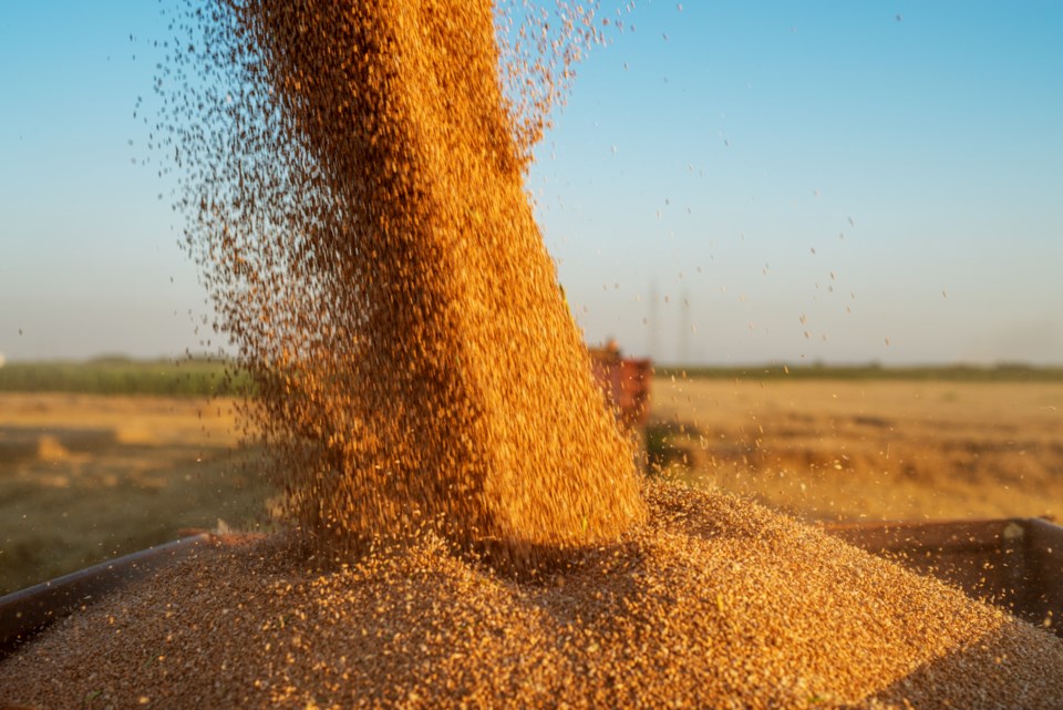 grain truck