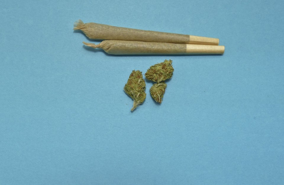 marijuana-2248066_1920