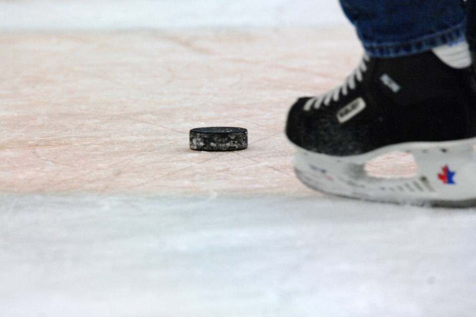 hockey-puck-584978_1920