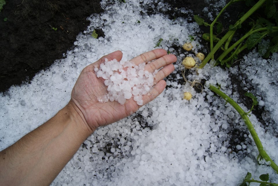 first-hail-1821255_1920