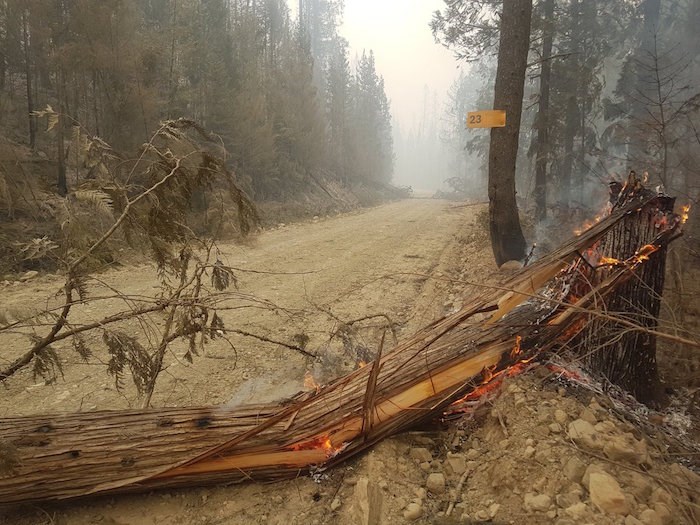 bc-wildfire-service-aug20