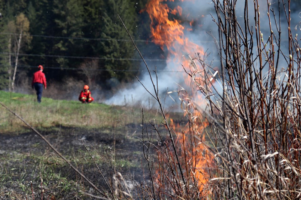 BC Wildfire3