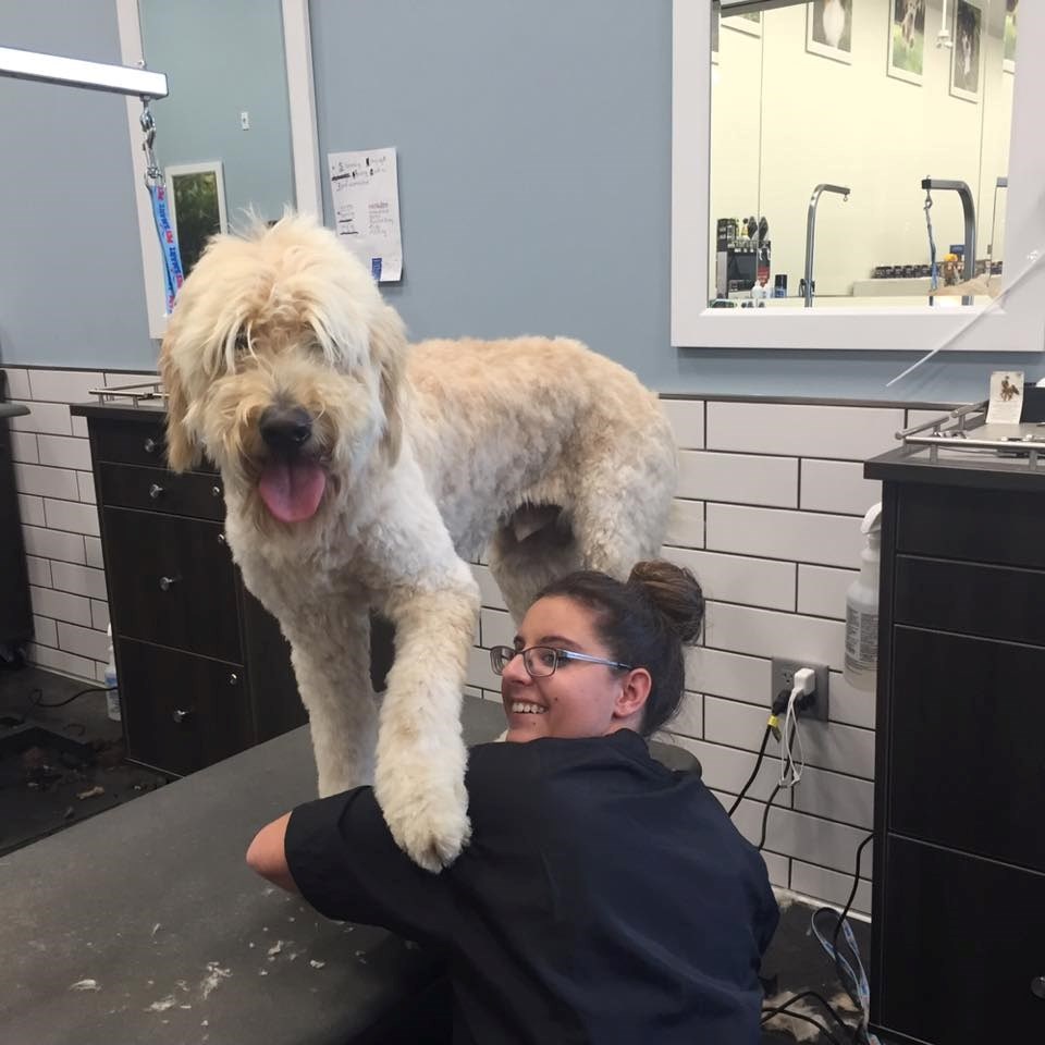 talking trades for the love of pet grooming petsmart bather