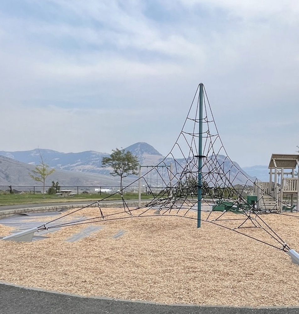 saddleback-park-wood-chips